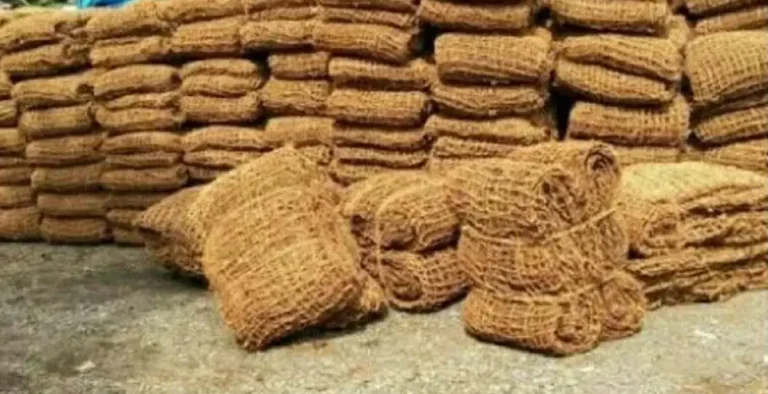 Cocomesh sebagai peluang usaha hijau berbasis kelapa