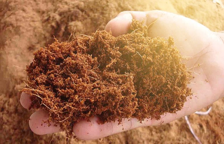 Pengembangan industri berkelanjutan berbasis sabut kelapa