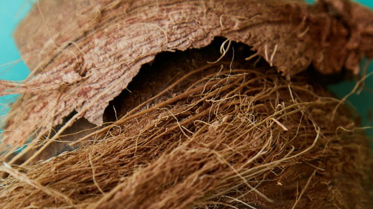 sabut kelapa untuk material komposit pengganti fiberglass