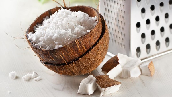 produksi kelapa skala mini