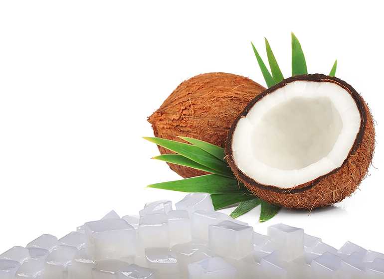 alat pembuatan nata de coco rumahan