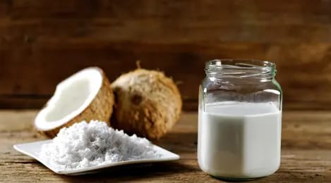 Alat Pemeras Santan Manual