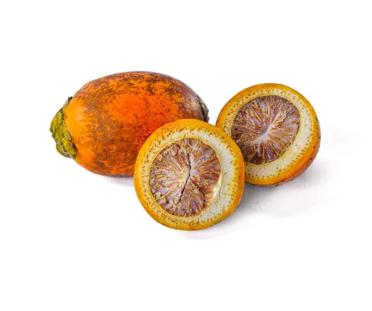 Alat Pengupas dan Pembelah Pinang