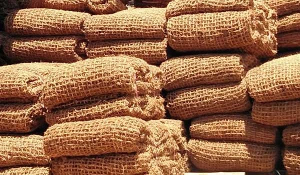 cocomesh-membantu-pertumbuhan-vegetasi-baru