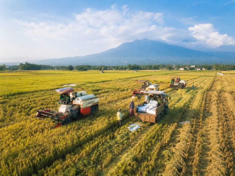 efisiensi waktu panen padi