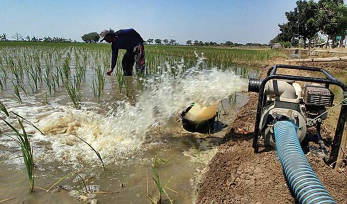 tips menggunakan pompa air untuk sawah