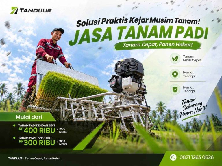 keuntungan menggunakan jasa tanam padi profesional
