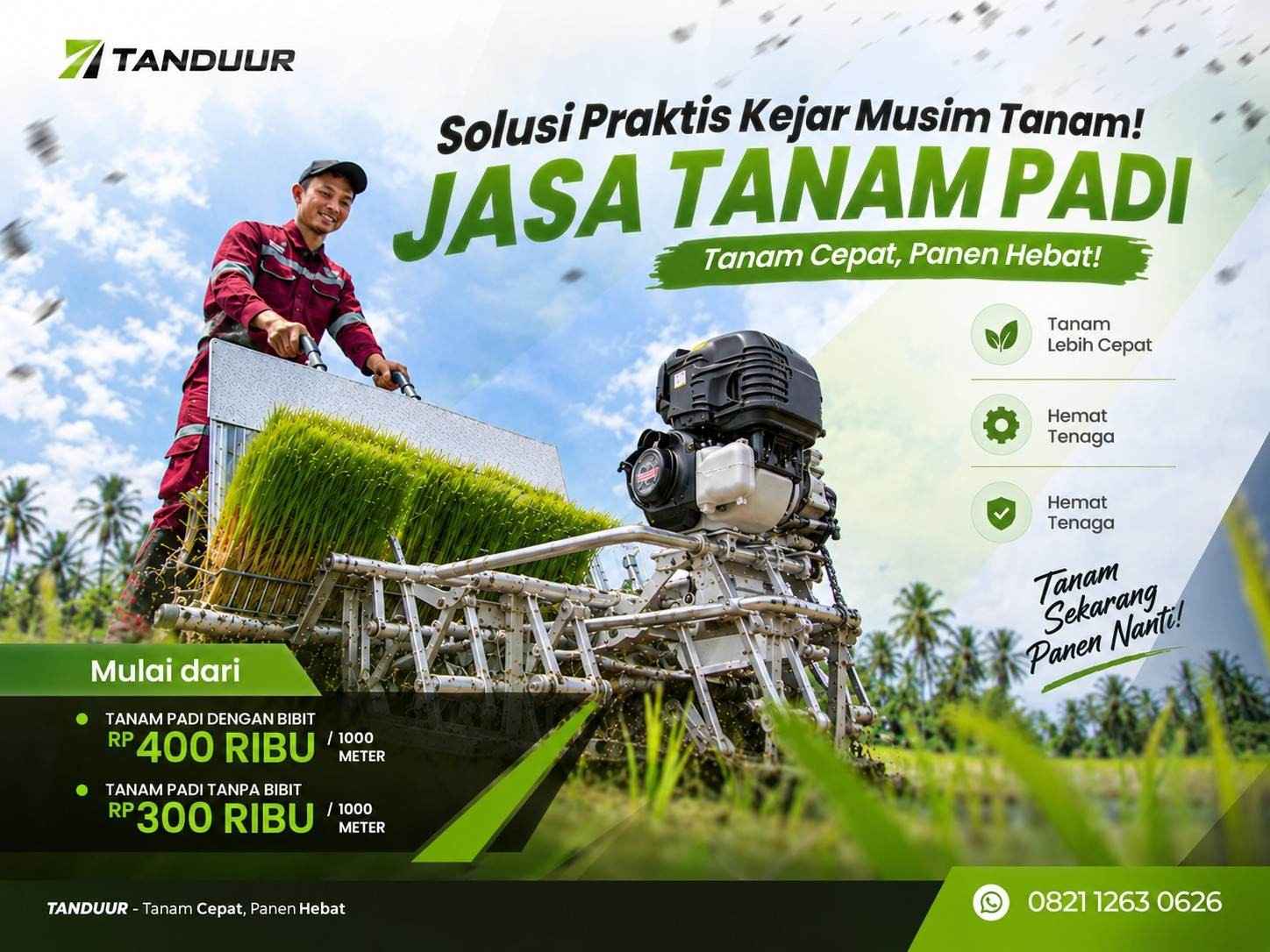 keuntungan menggunakan jasa tanam padi profesional