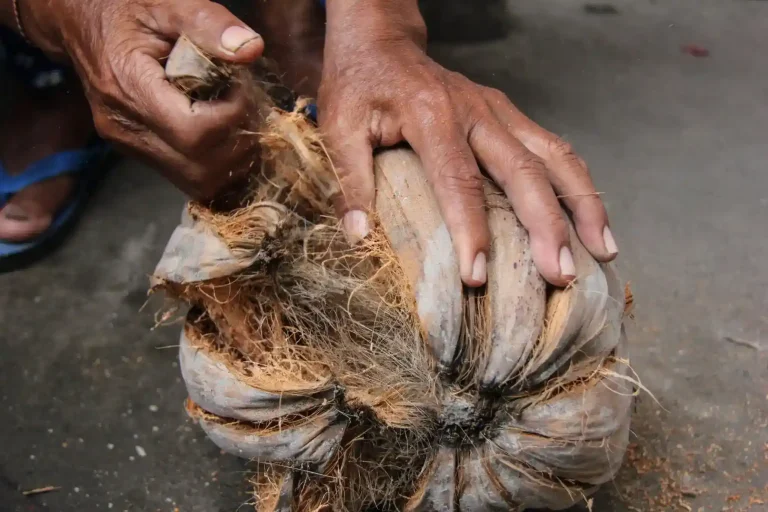 membuat sabut kelapa